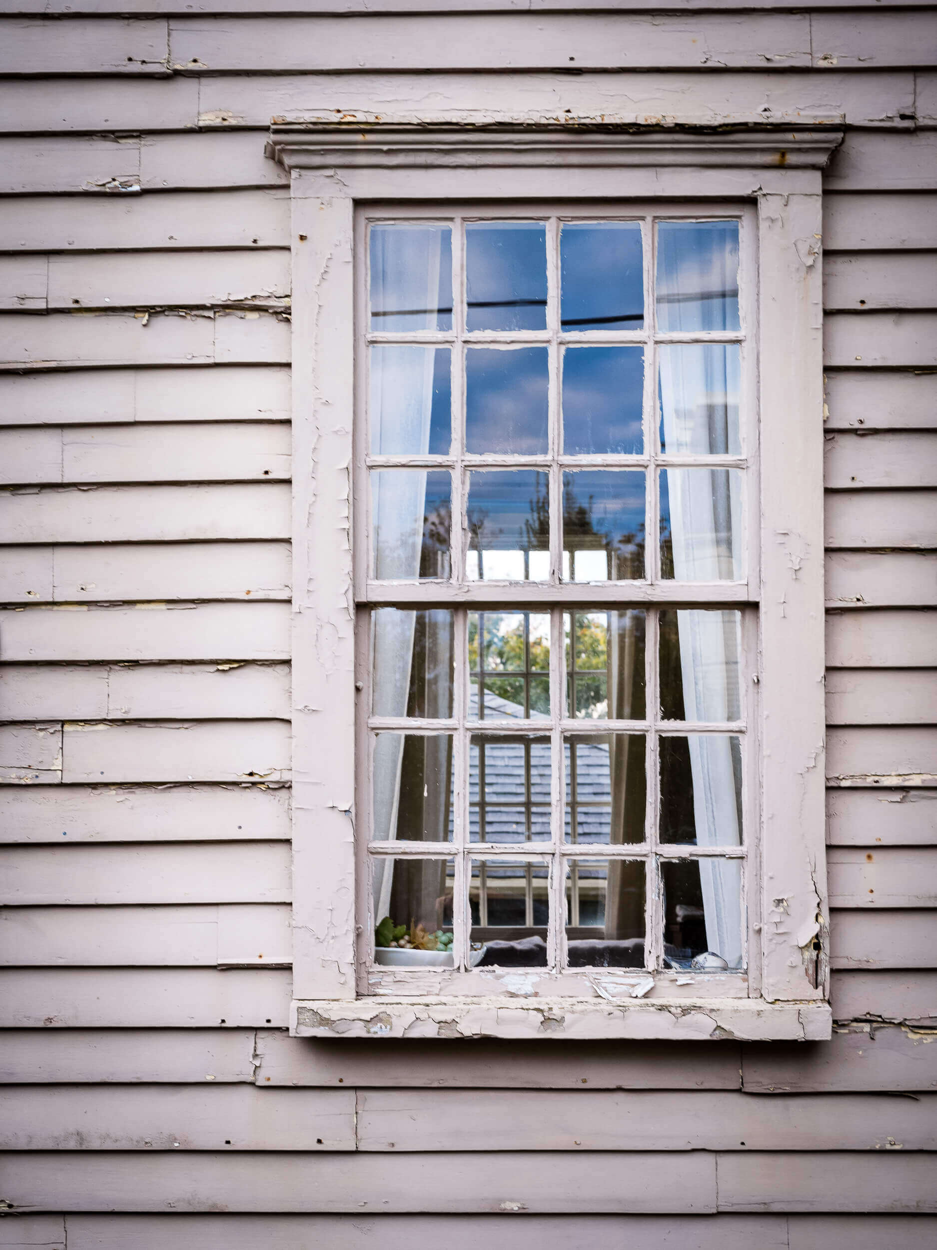Windows of Newport